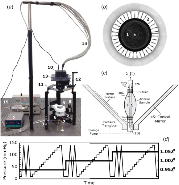 Fig. 1