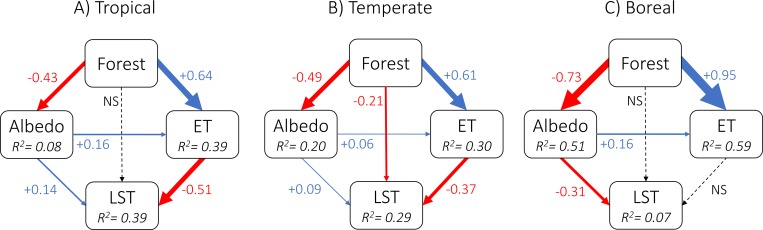 Fig 5