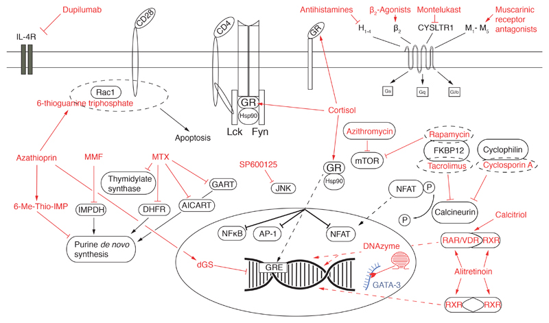 Fig. 1