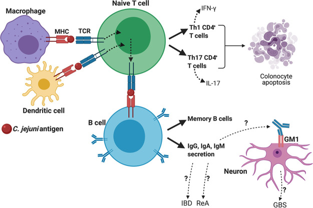 FIG 3