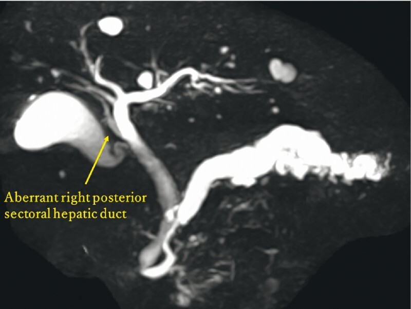 Fig. 2