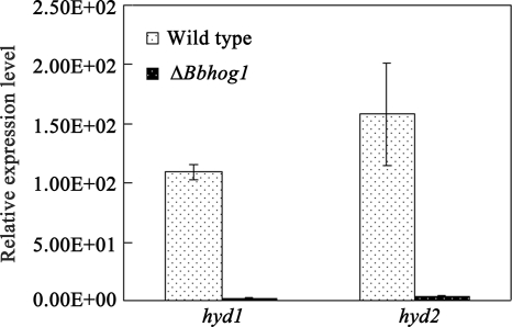 FIG. 6.