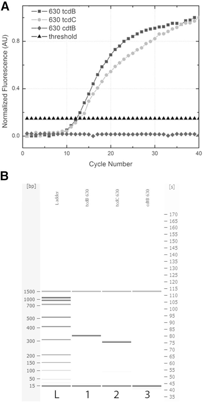 Figure 4