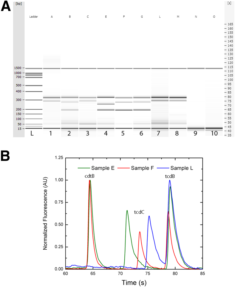 Figure 3