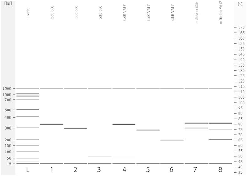 Figure 2