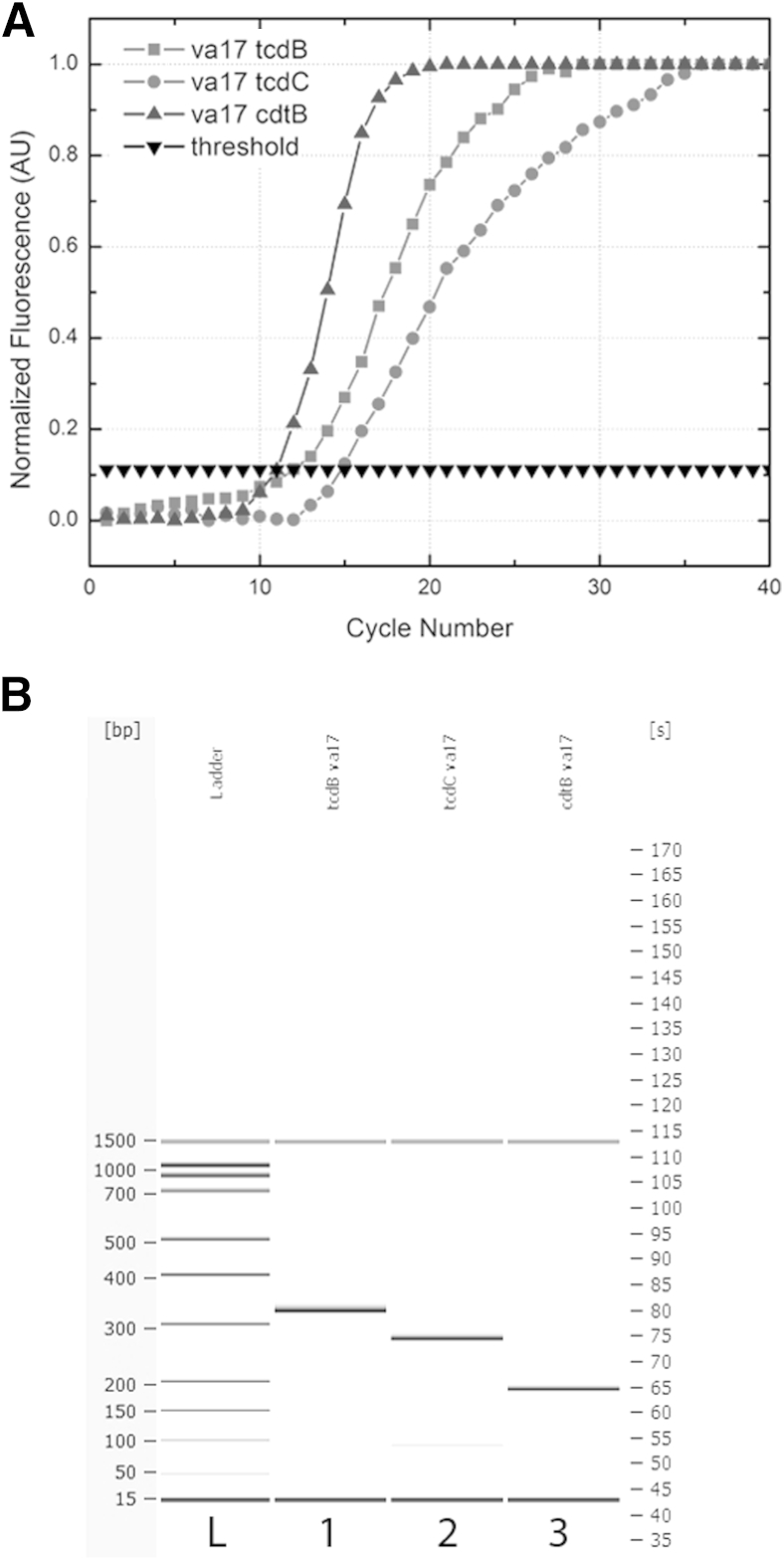 Figure 5