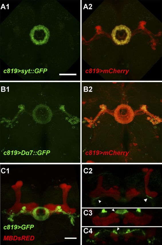 Figure 3.