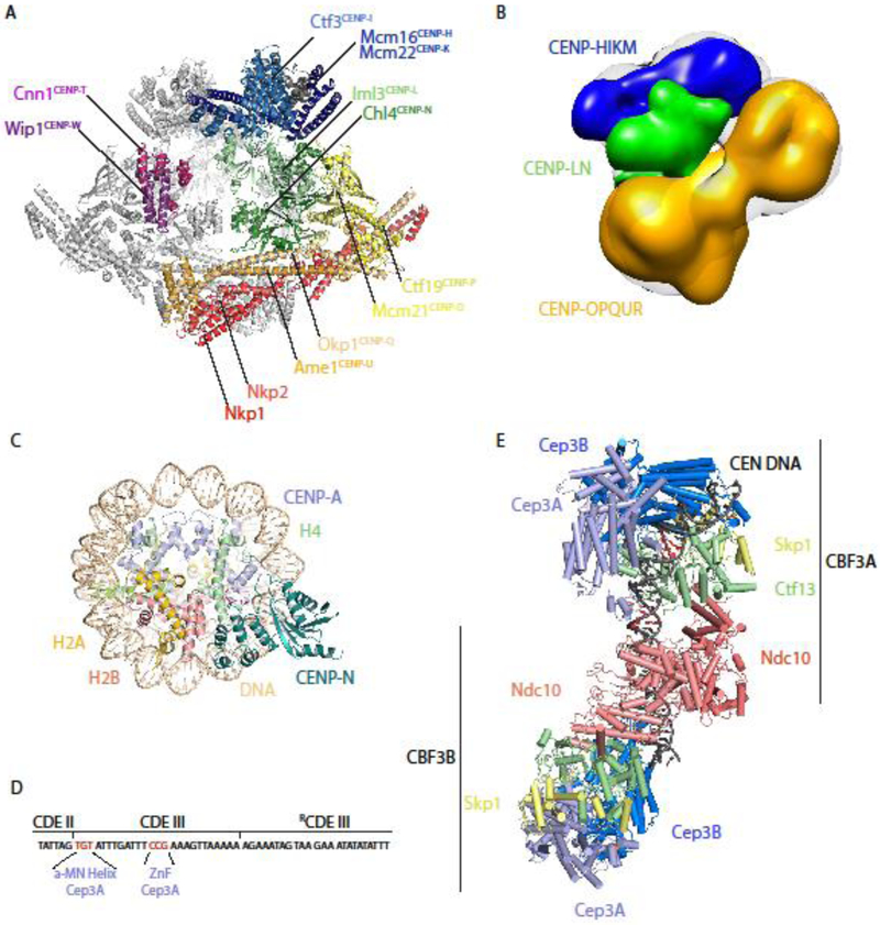 Figure 3.