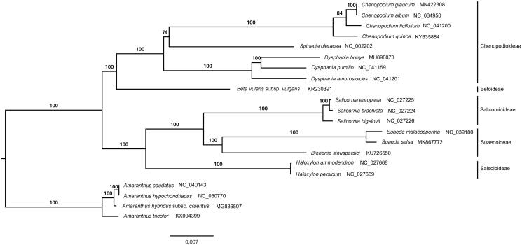 Figure 1.