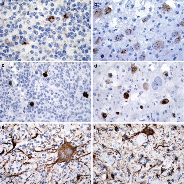 Fig. 10