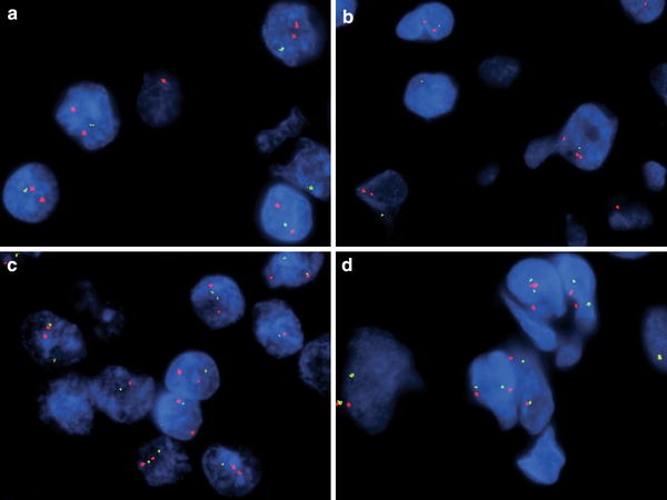 Fig. 7