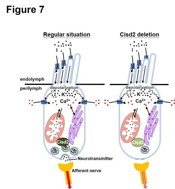 Figure 7.