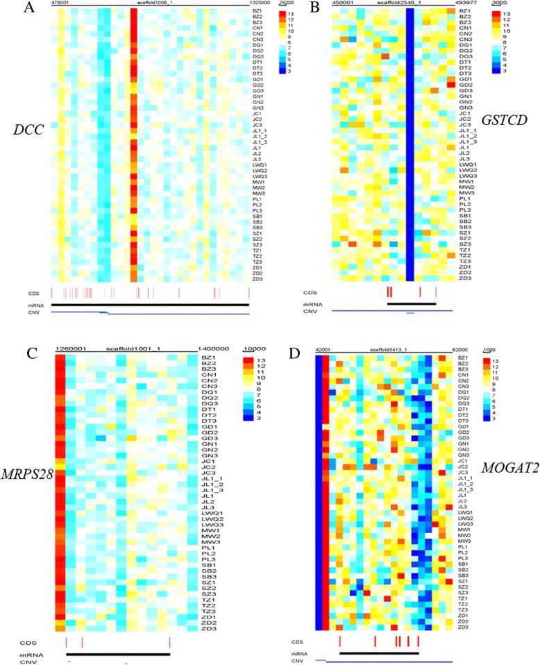 Fig. 3