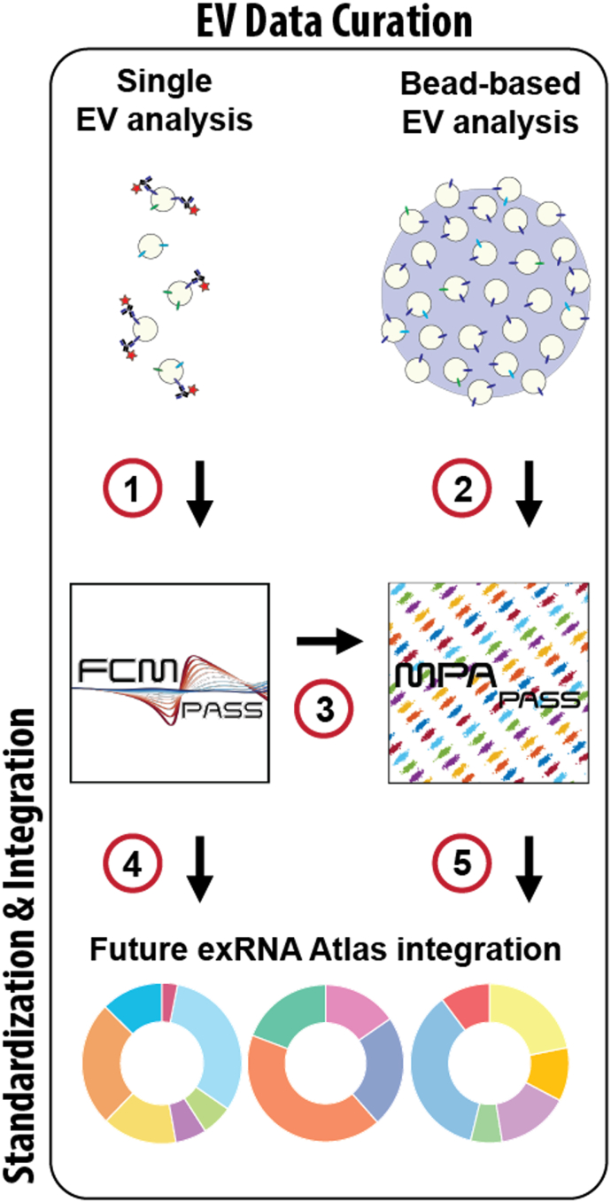 Figure 5