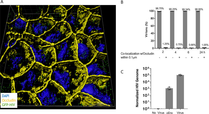 FIG 4