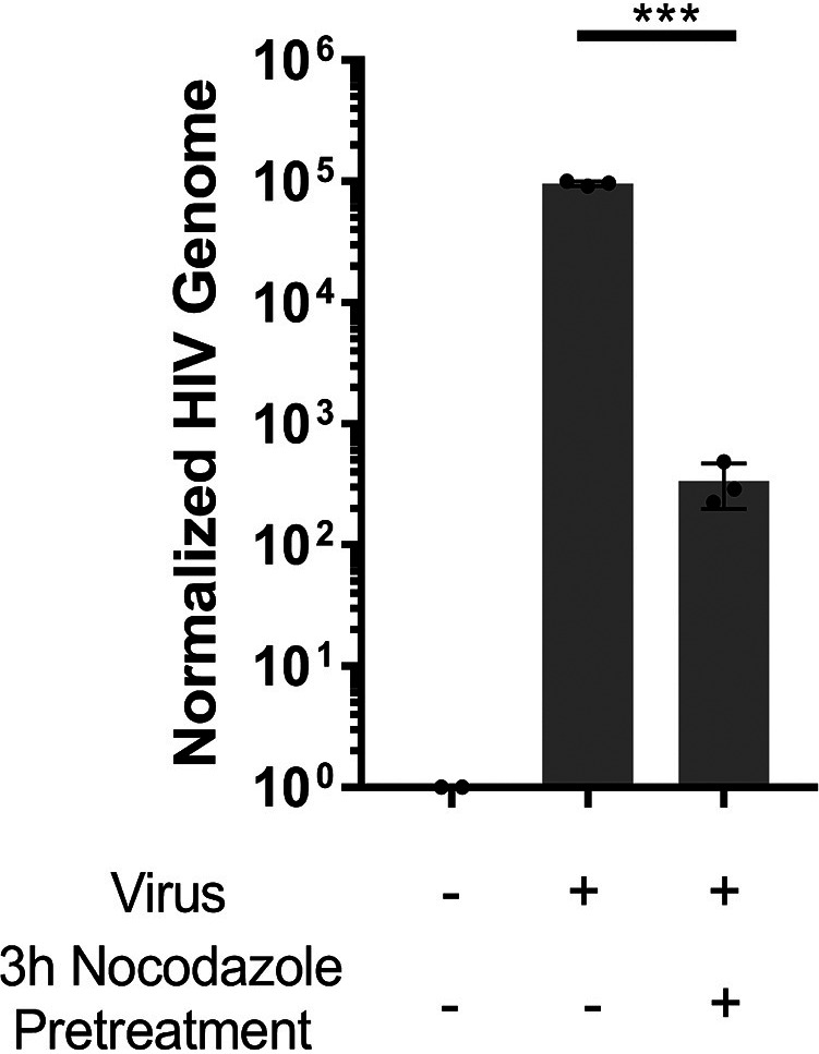 FIG 7