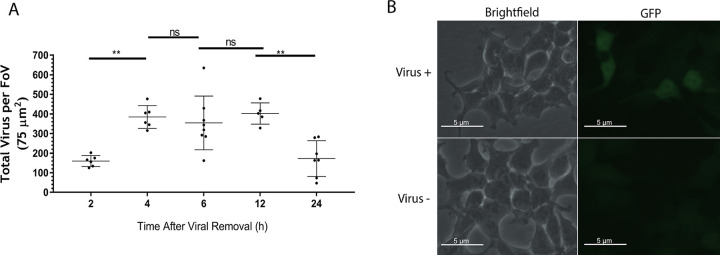 FIG 3