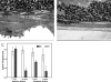 FIGURE 10.