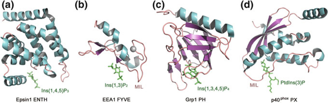 Fig. 6.2