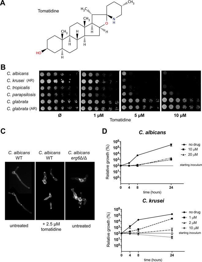 FIG 2