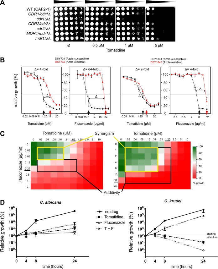 FIG 6