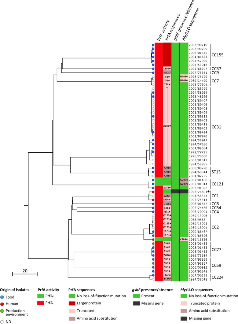 FIG 1