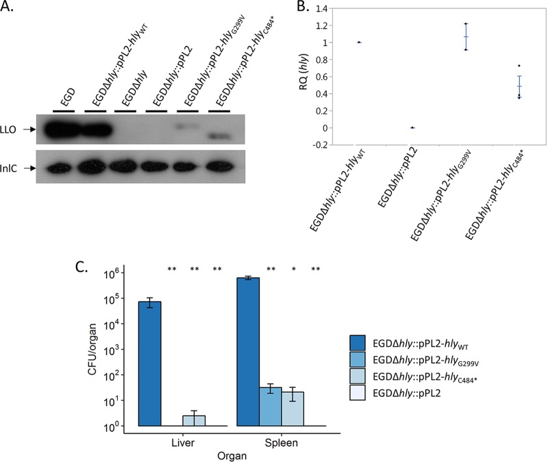 FIG 3