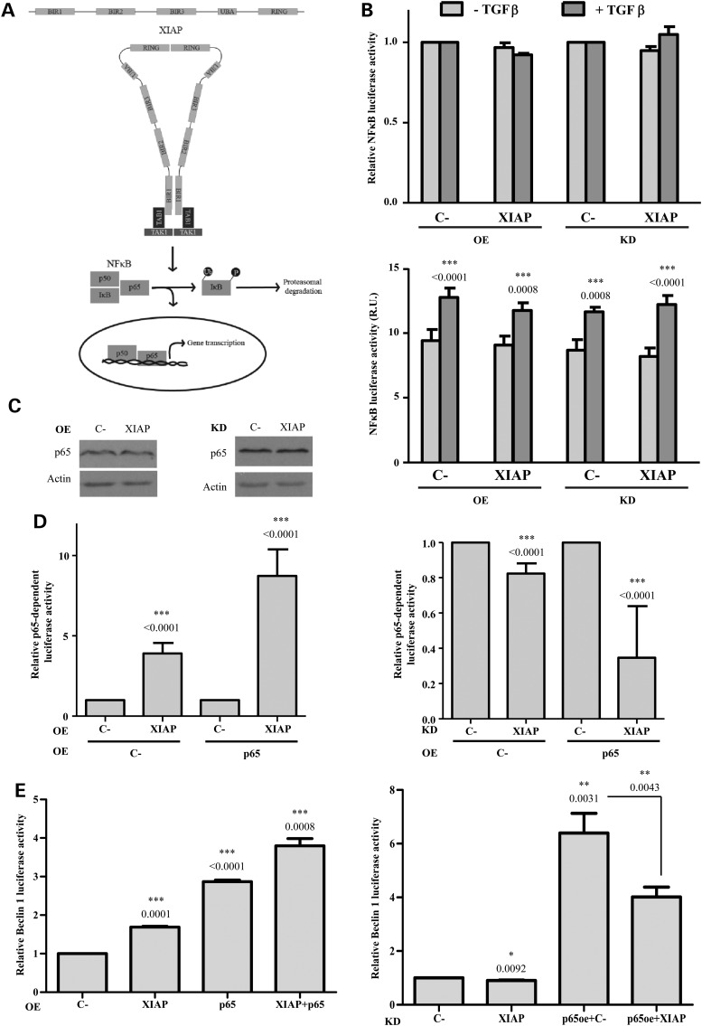 Figure 3.