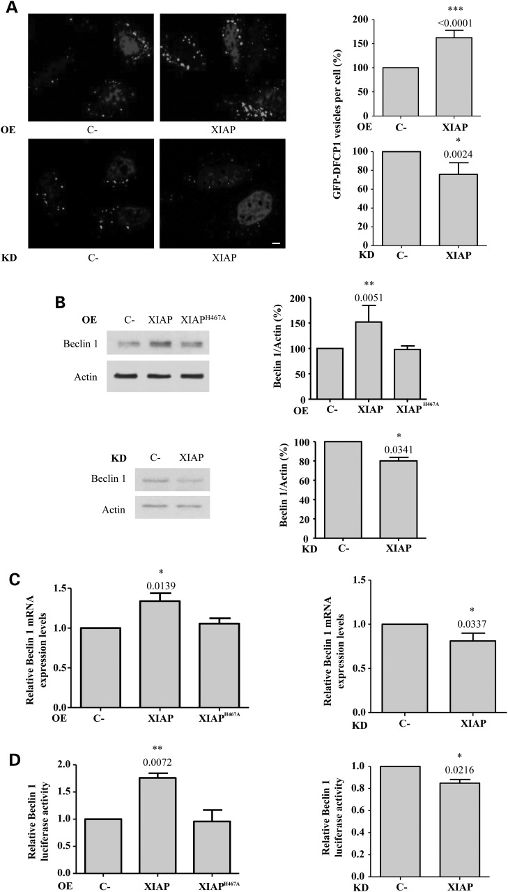 Figure 2.