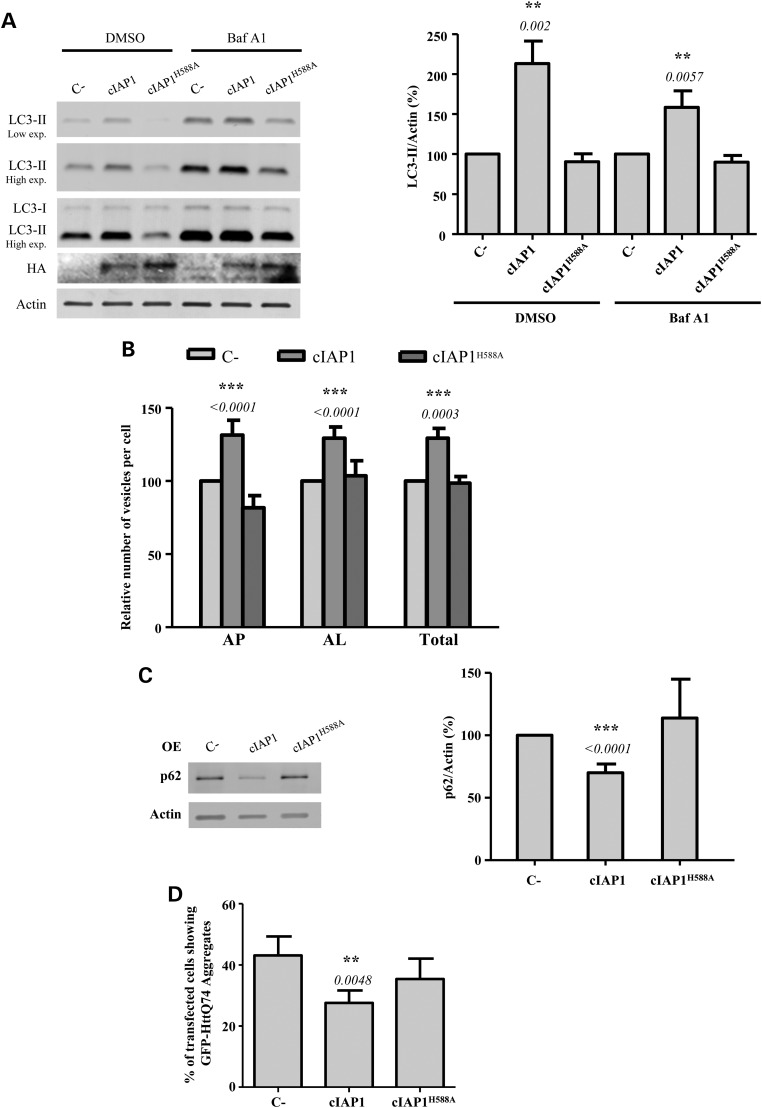 Figure 6.