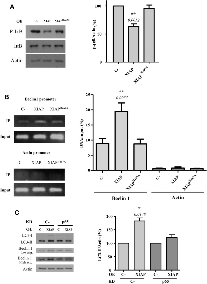 Figure 4.