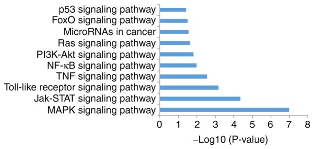 Figure 7.