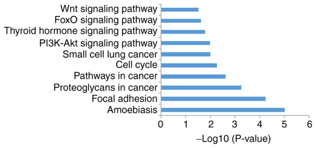 Figure 6.