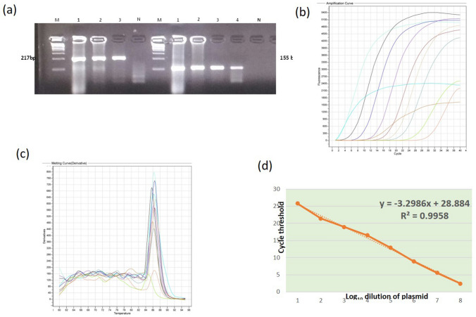 Fig.1