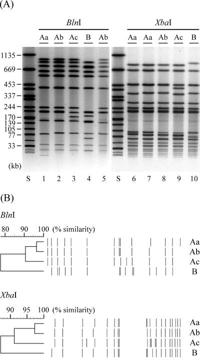 FIG. 1.