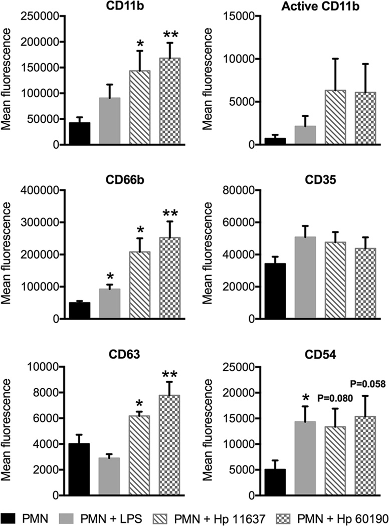 FIGURE 4