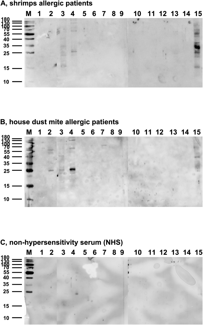 Fig. 3