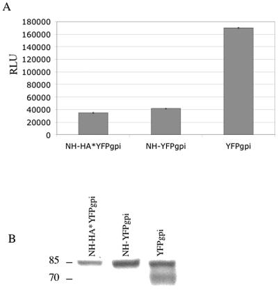 FIG. 8.