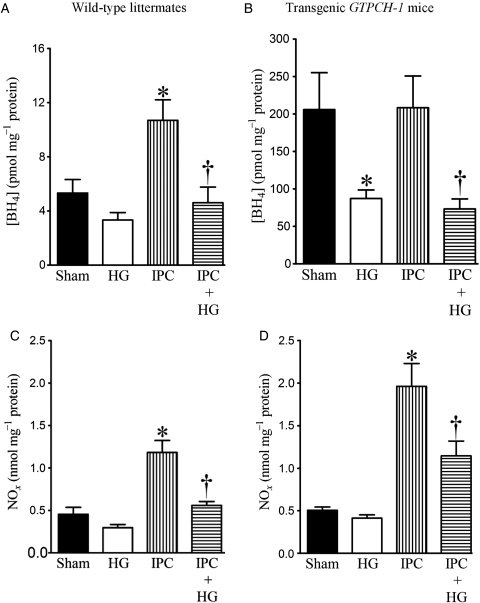 Figure 5