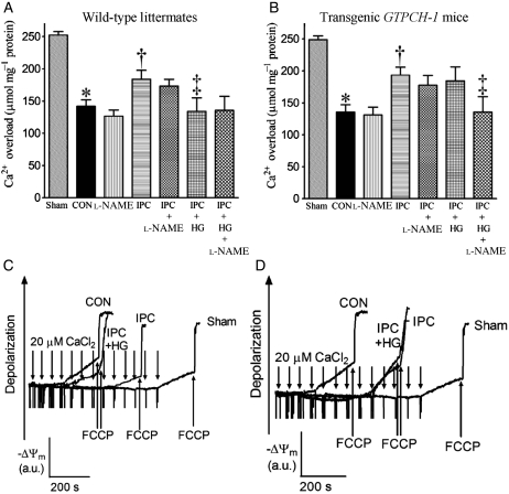 Figure 6