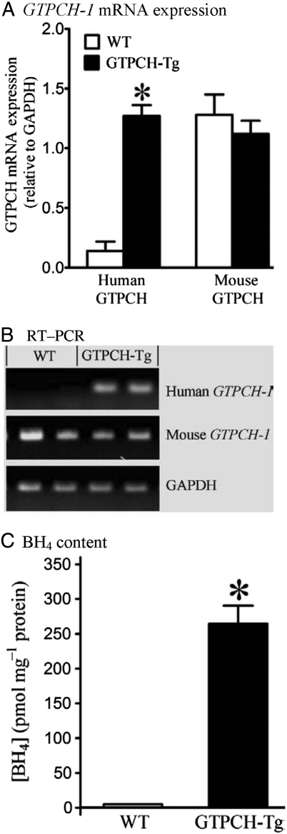 Figure 3