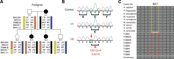 Figure 2.