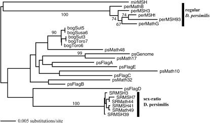 Figure 5.—