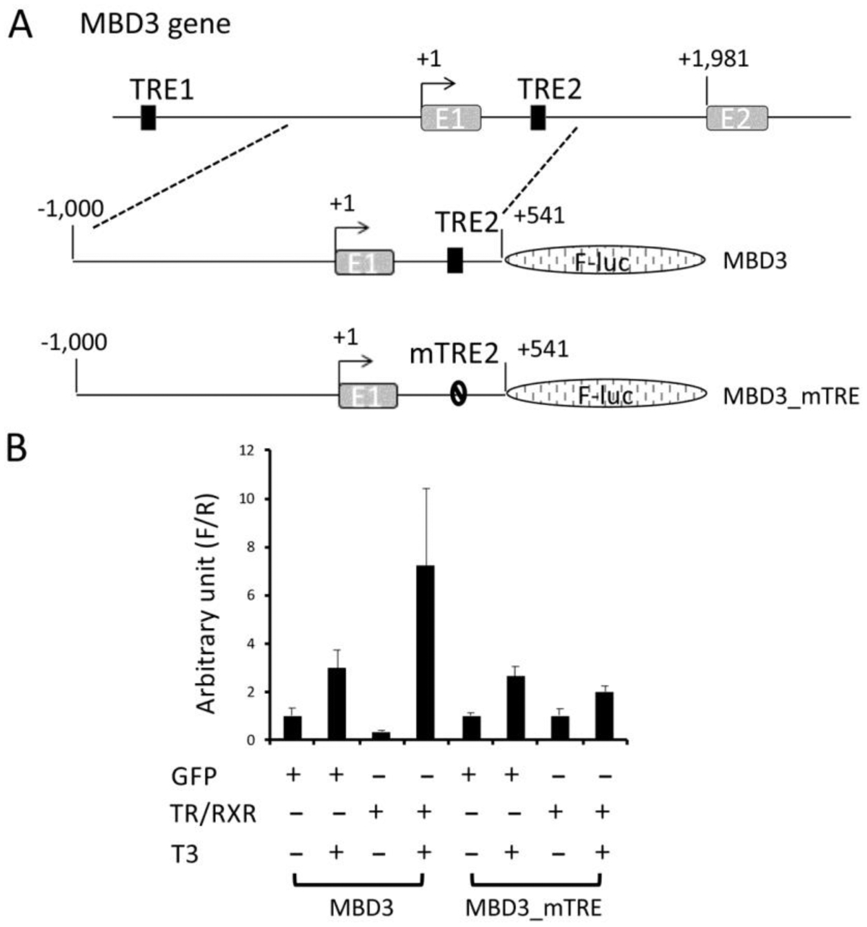 Figure 4.