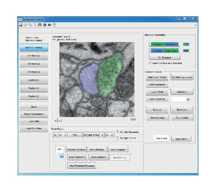 Figure 3—figure supplement 1.