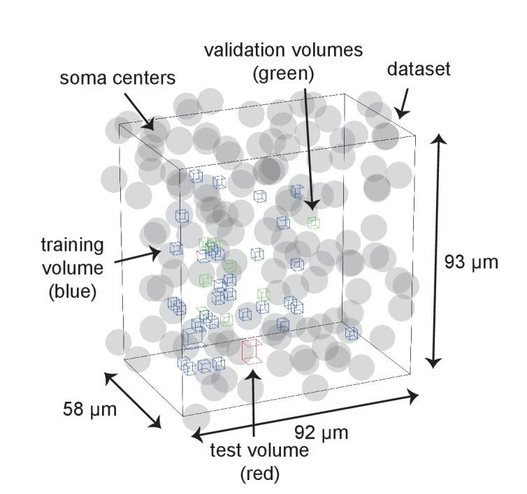 Figure 3—figure supplement 2.