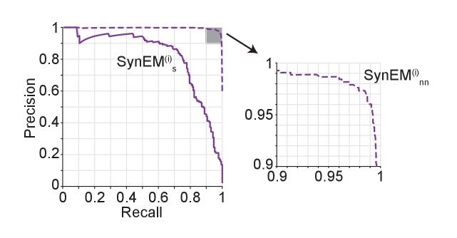 Figure 5—figure supplement 1.