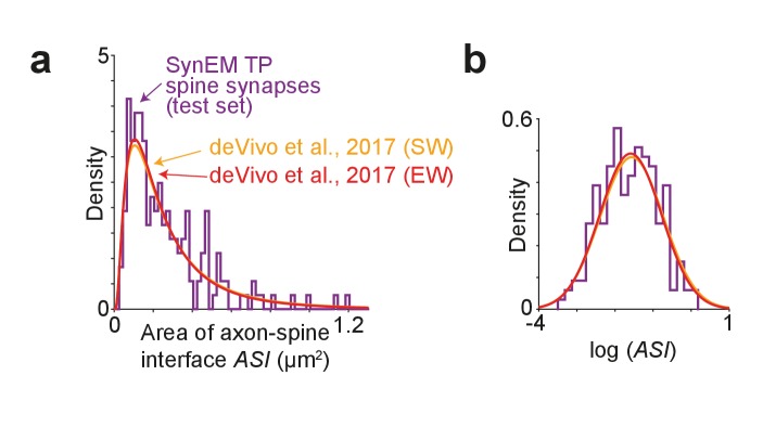 Figure 7.