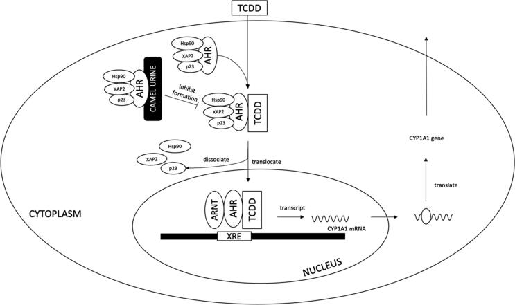 Fig. 3