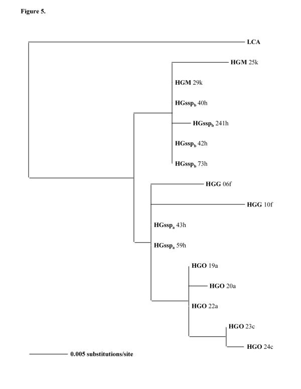 Figure 5